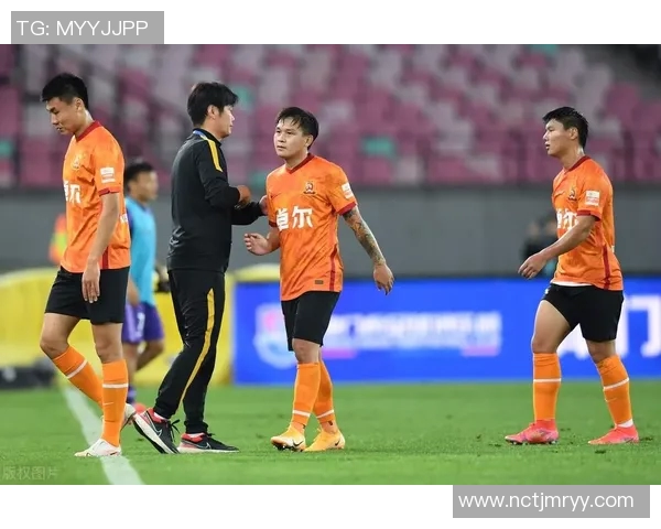 武汉排球队的实力分析与发展潜力探讨排球运动的未来之路