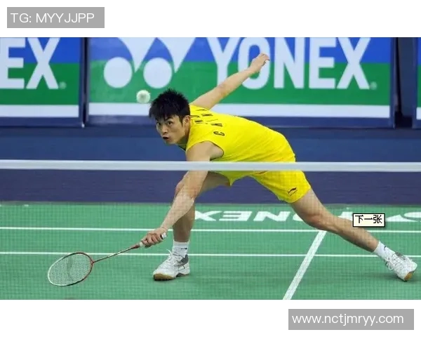 赵敏独家分享羽毛球技巧与心得助你提升球技的全面指南